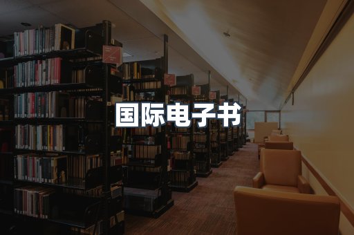 国际电子书